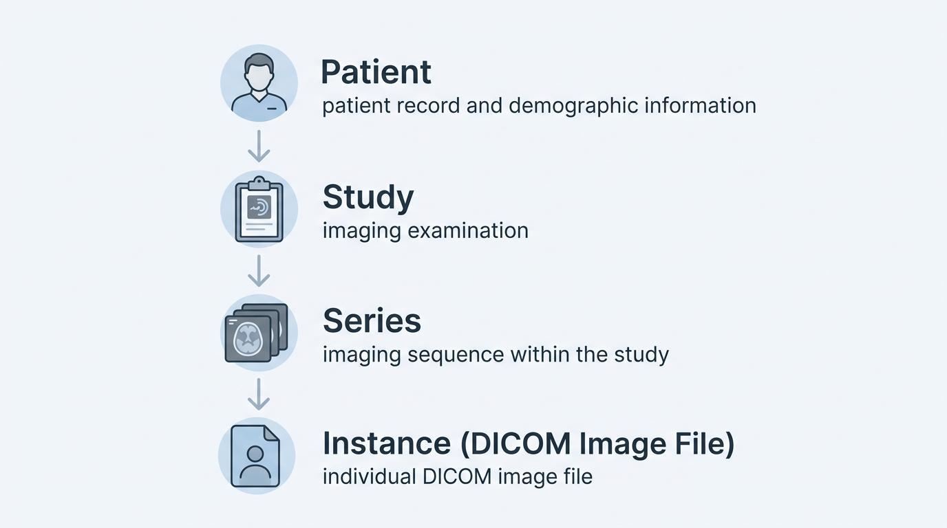 DICOM data hierarchy showing patient study series and individual DICOM image files
